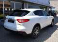 Maserati Levante 3.0 V6 Diesel 275 CV Bianco - thumbnail 5