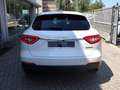 Maserati Levante 3.0 V6 Diesel 275 CV Bianco - thumbnail 6