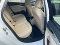 Audi A4 Avant 40 TDI quattro S tronic S line edition Bianco - thumbnail 12