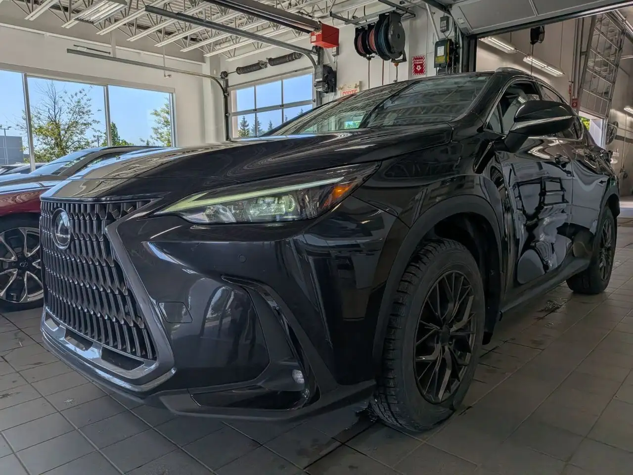 2024 Lexus NX