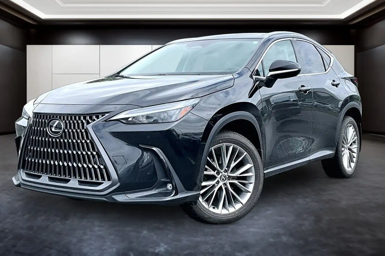 2024 Lexus NX
