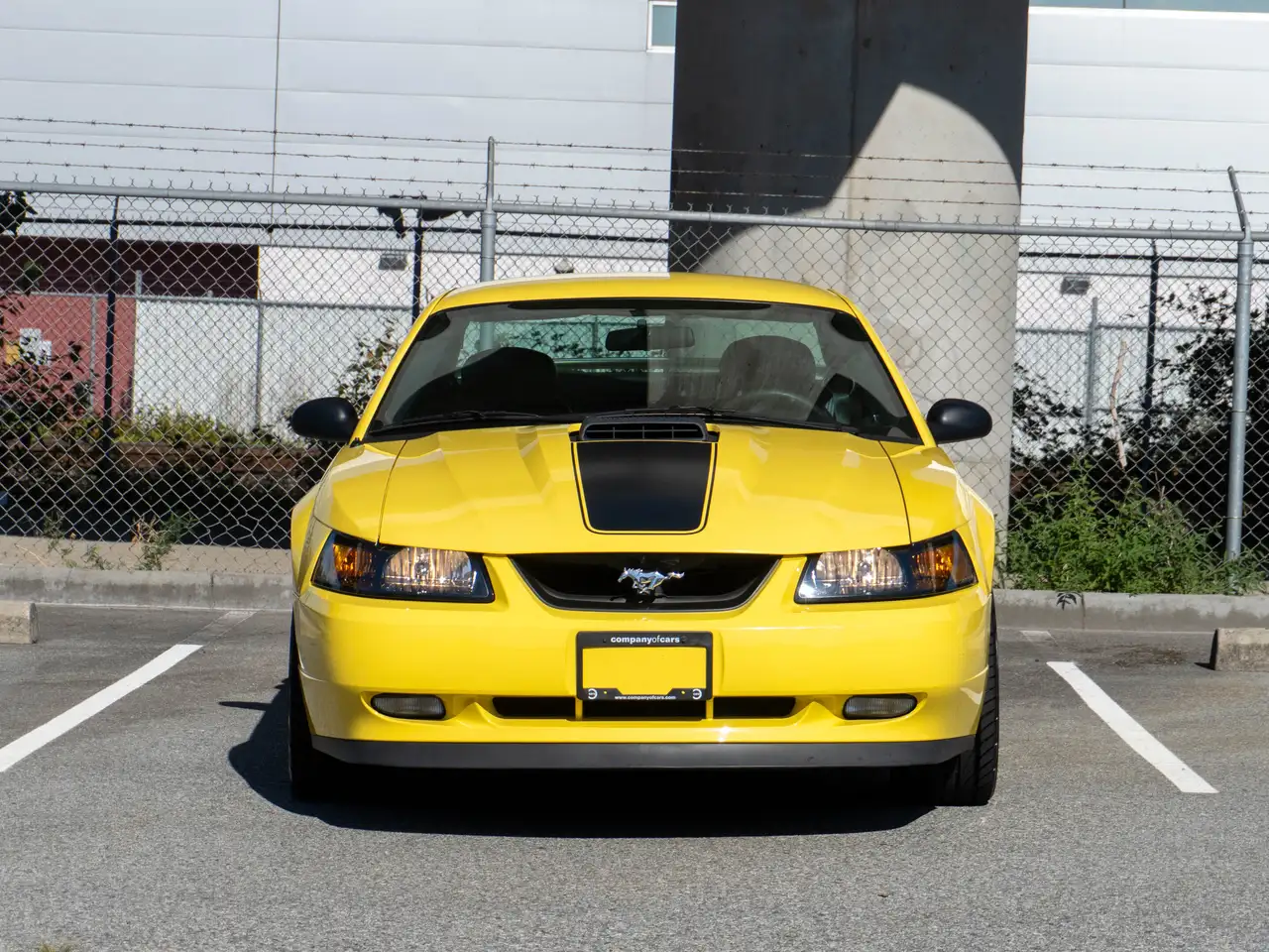 Ford Mustang снимка Ford Mustang