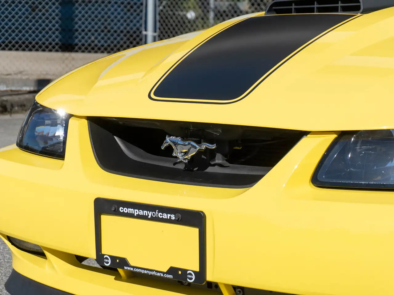 Ford Mustang снимка Ford Mustang