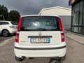 Fiat Panda Panda 1.2 Dynamic METANO anche x NEOPATENTATI Bianco - thumbnail 6