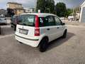Fiat Panda Panda 1.2 Dynamic METANO anche x NEOPATENTATI Bianco - thumbnail 5