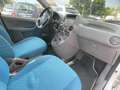 Fiat Panda Panda 1.2 Dynamic METANO anche x NEOPATENTATI Bianco - thumbnail 13