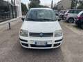 Fiat Panda Panda 1.2 Dynamic METANO anche x NEOPATENTATI Bianco - thumbnail 2