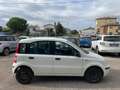 Fiat Panda Panda 1.2 Dynamic METANO anche x NEOPATENTATI Bianco - thumbnail 4
