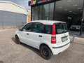 Fiat Panda Panda 1.2 Dynamic METANO anche x NEOPATENTATI Bianco - thumbnail 7