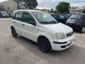 Fiat Panda Panda 1.2 Dynamic METANO anche x NEOPATENTATI Bianco - thumbnail 3