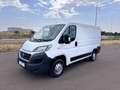 Fiat Ducato 2.0 Multijet 115cv L1 H1 PERFETTO STATO Bianco - thumbnail 3