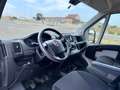Fiat Ducato 2.0 Multijet 115cv L1 H1 PERFETTO STATO Bianco - thumbnail 8