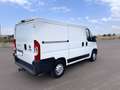 Fiat Ducato 2.0 Multijet 115cv L1 H1 PERFETTO STATO Bianco - thumbnail 7