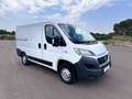 Fiat Ducato 2.0 Multijet 115cv L1 H1 PERFETTO STATO Bianco - thumbnail 1