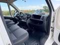 Fiat Ducato 2.0 Multijet 115cv L1 H1 PERFETTO STATO Bianco - thumbnail 12