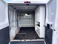 Fiat Ducato 2.0 Multijet 115cv L1 H1 PERFETTO STATO Bianco - thumbnail 6