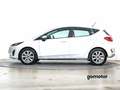 Ford Fiesta TREND 1.0 ECOBOOST 100 5P Blanco - thumbnail 3