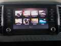 Skoda Karoq 2.0TDI AdBlue Ambition 4x4 DSG 110kW Blanco - thumbnail 17