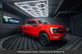 Ford Pack Raptor V8 Tout compris hors homologation 4500e Красный - thumbnail 43