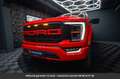 Ford Pack Raptor V8 Tout compris hors homologation 4500e Красный - thumbnail 27