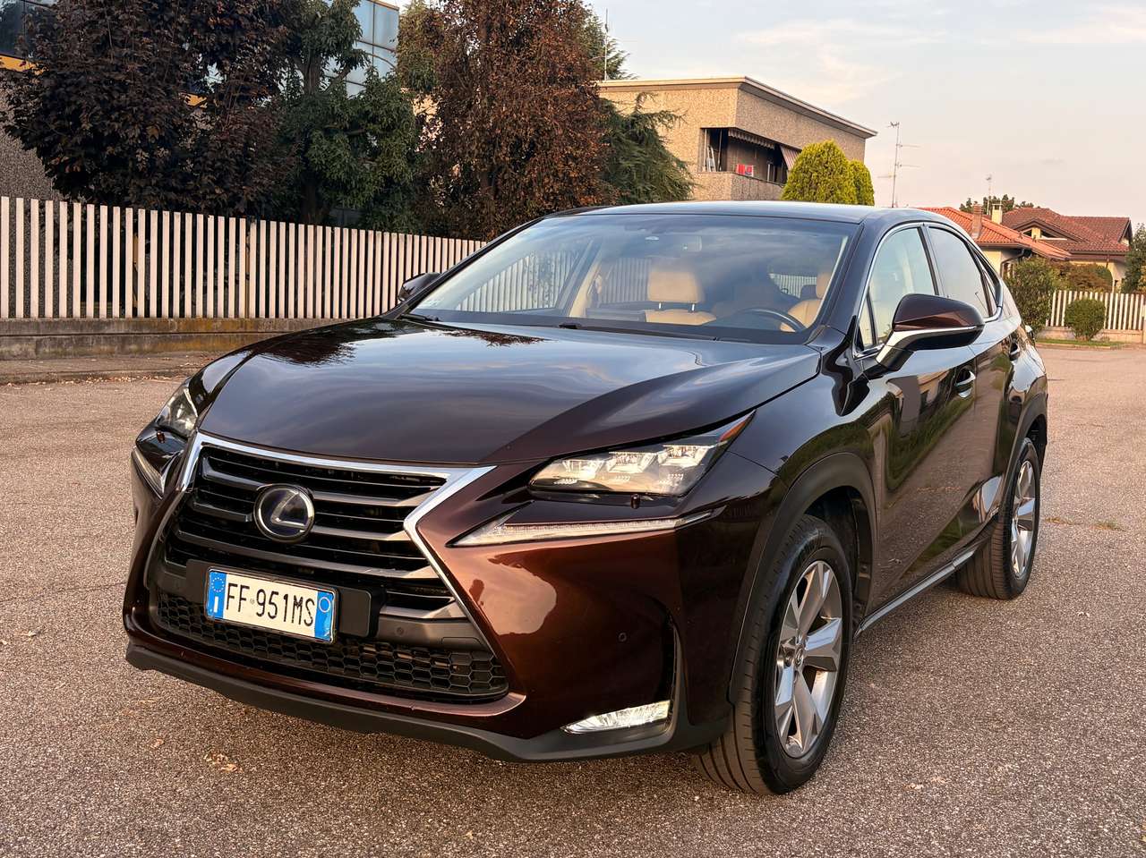Lexus NX 300 300h 2.5 F-Sport 4wd cvt
