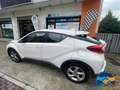 Toyota C-HR 1.8 Hybrid E-CVT Style Bianco - thumbnail 6