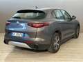 Alfa Romeo Stelvio 2.2 Super Business 160CV auto Grau - thumbnail 2