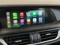 Alfa Romeo Stelvio 2.2 Super Business 160CV auto Grau - thumbnail 24