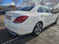 Mercedes-Benz C 220 220d 7G Plus Weiß - thumbnail 5