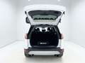 Ford Kuga TREND 1.5 ECOBOOST 120CV MT6 Weiß - thumbnail 19