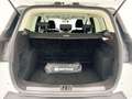 Ford Kuga TREND 1.5 ECOBOOST 120CV MT6 Weiß - thumbnail 4