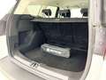 Ford Kuga TREND 1.5 ECOBOOST 120CV MT6 Weiß - thumbnail 20