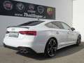 Audi S5 Sportback TDI quattro Weiß - thumbnail 5