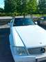 Mercedes-Benz SL 60 AMG SL 60 AMG R129 Weiß - thumbnail 11