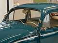 Volkswagen Maggiolino Vers. CORNUTA (vetro piatto) - TARGA ORO Bleu - thumbnail 13