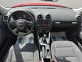 Audi A3 Sportback 2.0TDI Attraction Rojo - thumbnail 20