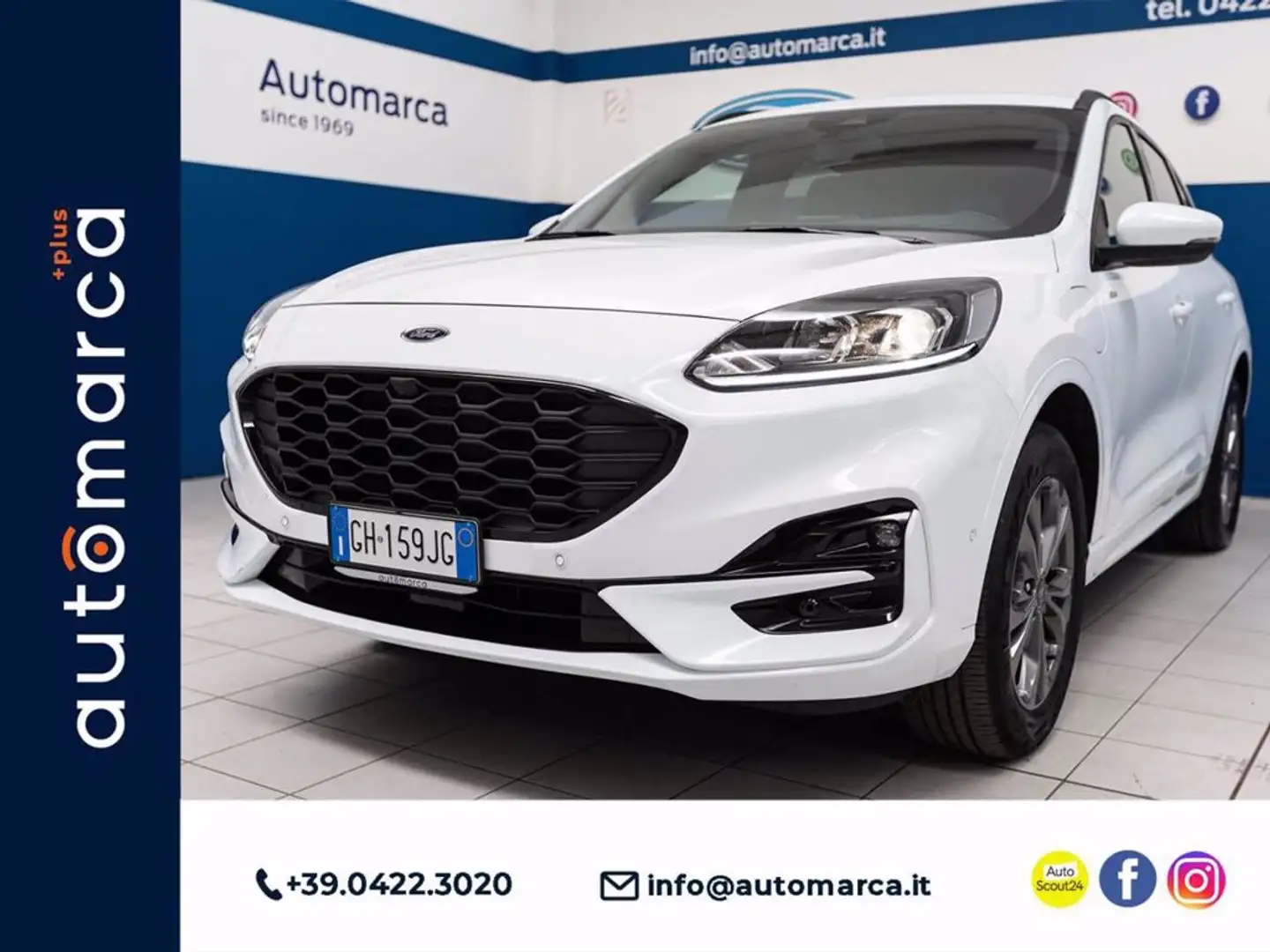 Ford Kuga 2.5 Plug In Hybrid 225 CV CVT 2WD ST-Line Bianco - 1