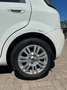 Fiat Punto 5p 1.4 easypower Street Gpl E6 Blanco - thumbnail 11