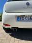 Fiat Punto 5p 1.4 easypower Street Gpl E6 Blanc - thumbnail 10