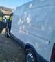Opel Movano Movano L3H2 2,5 CDTI 3,9t Bus 16-Sitzer Weiß - thumbnail 2