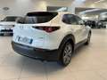 Mazda CX-30 2.0L e-Skyactiv-G 150 CV M Hybrid 2WD Executive Bianco - thumbnail 2