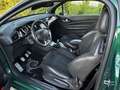 DS Automobiles DS 3 1.6BlueHDi Desire 100 Verde - thumbnail 7