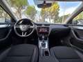 Skoda Octavia - Wagon 1.6 TDI 115cv DSG - thumbnail 12
