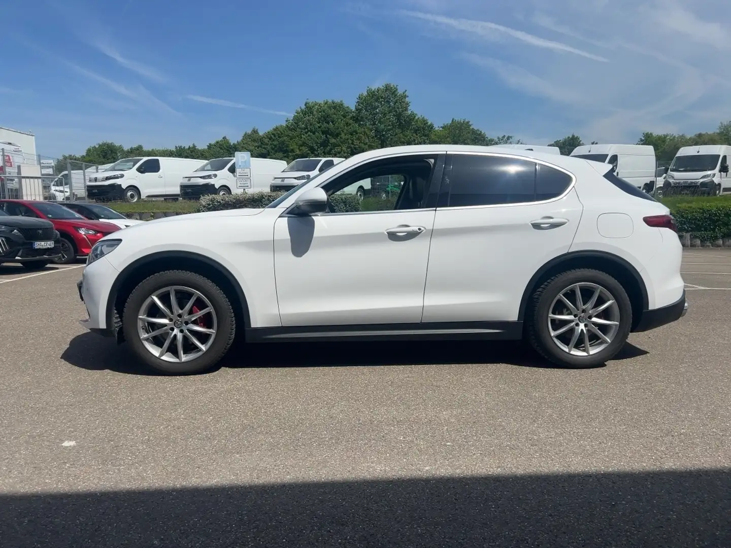 Alfa Romeo Stelvio 2.0 Turbo 16V Super Q4 - 2