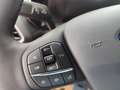 Ford Tourneo Courier 1,0 EcoBoost Trend Gris - thumbnail 14