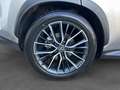 Lexus NX 450h+ NX 450h+ 4WD Hybride Rechargeable Luxe Gris - thumbnail 15
