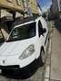 Piaggio Porter Glass Van 1,4 D Weiß - thumbnail 20