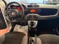Fiat Panda Panda III  1.0 firefly hybrid City Life s Blanc - thumbnail 7