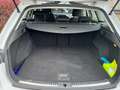 SEAT Leon ST1200 Blanc - thumbnail 11