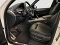 BMW X5 xDrive40d ///M-Sport SpecialEd. AHK+erh.AHL RFK Blanc - thumbnail 10